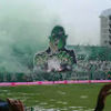 fhanorgarcia